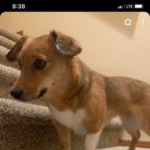 Meet your Posher, Chloe